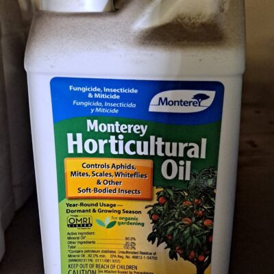 Horticultural Oil, 16 ounces