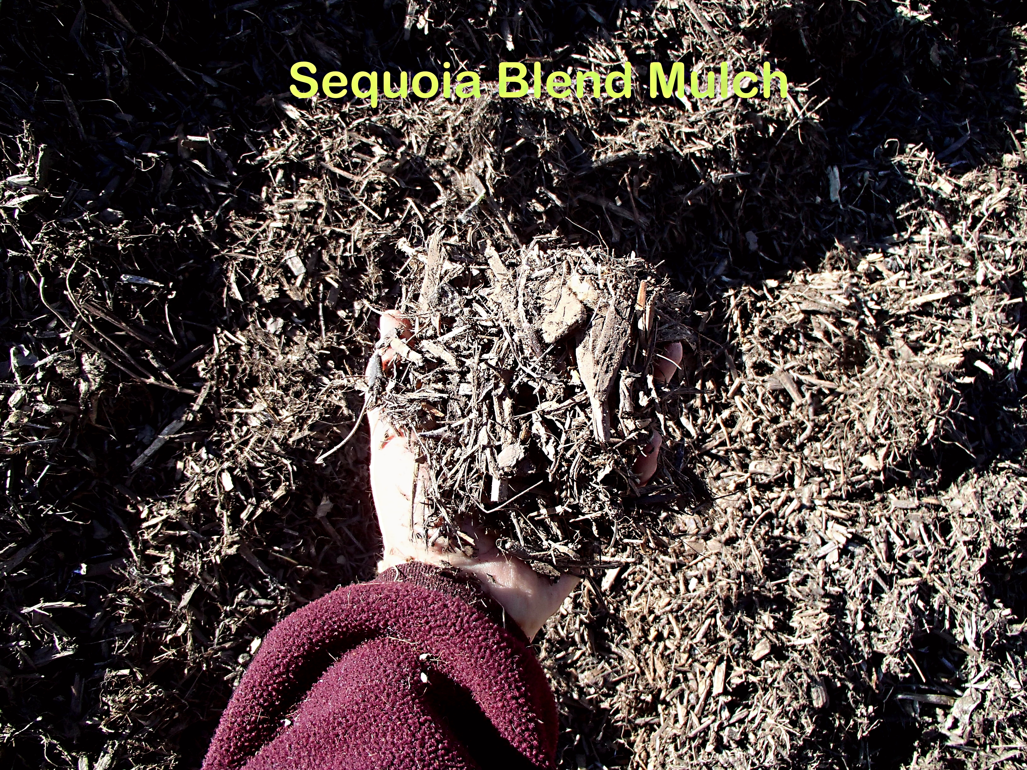 Sequoia Blend Mulch, 1 cubic yard.