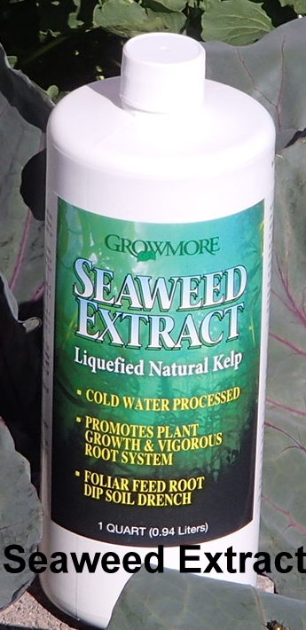 Seaweed Extract, 5-1-1, quart